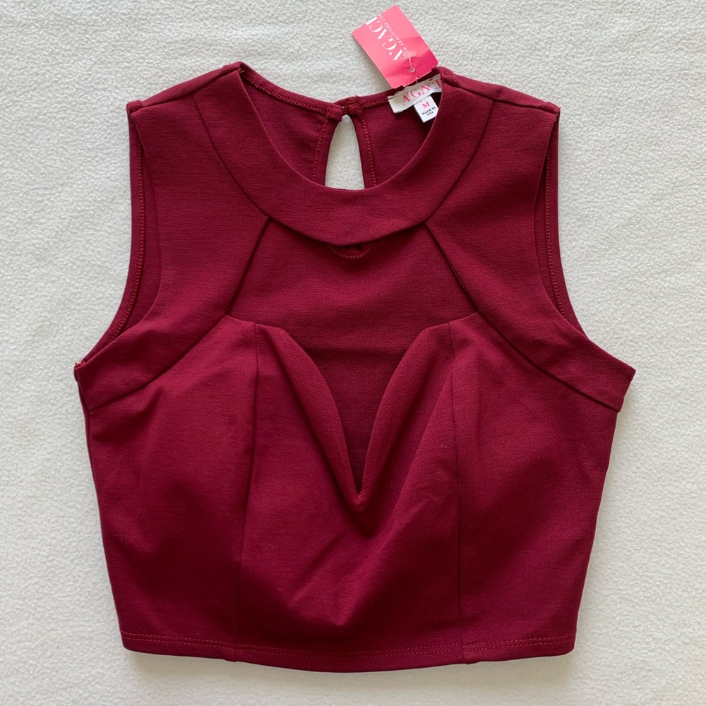 Agaci Dark Red Wired V-neck Plunge Crop Top A’GACI